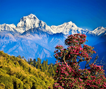 fantasticnorthnepal