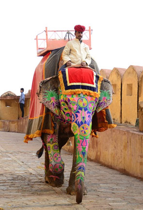 First Timer Traveller Packages