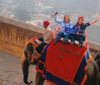 
Elephant Safari Jaipur