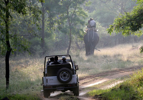Bandhabgarh Wildlife Safari