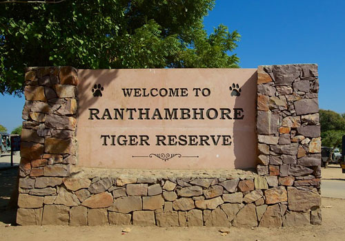 Ranthambore National Park Safari